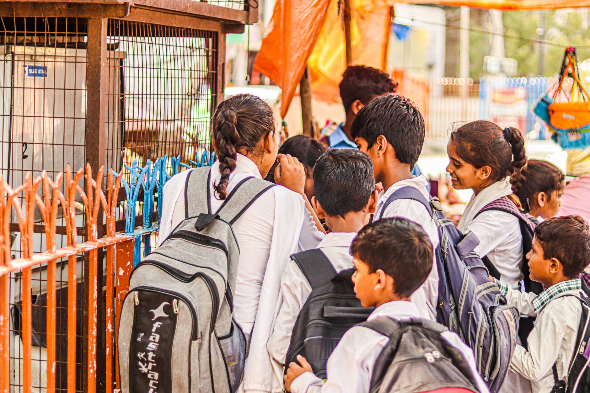 11 FREE Field Trip Ideas