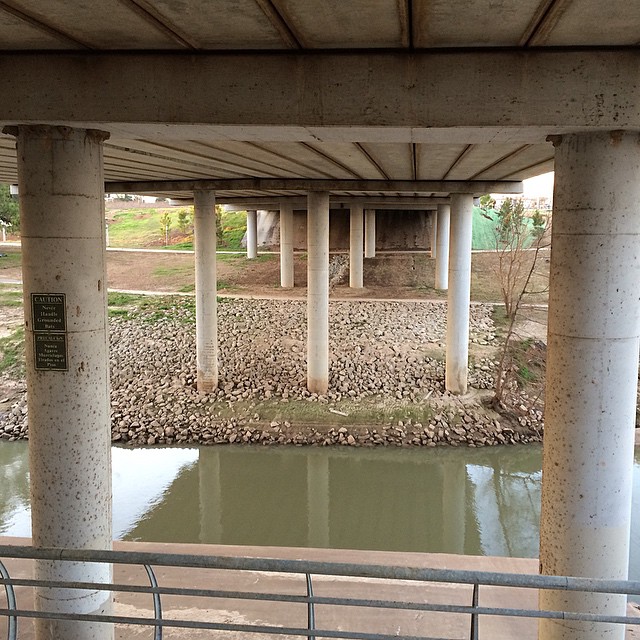 Waugh Drive Bat Colony