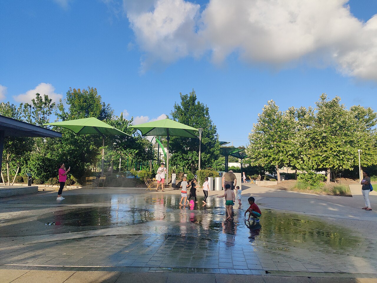 Evelyn's Park