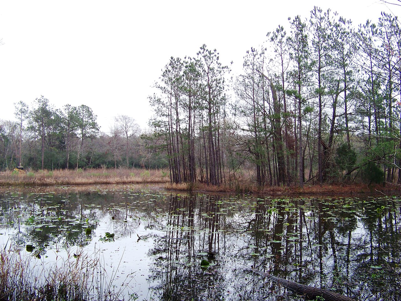 Houston Arboretum & Nature Center