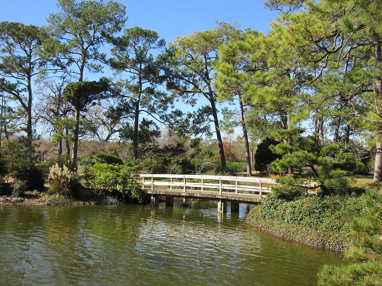 Japanese Garden at Hermann Park