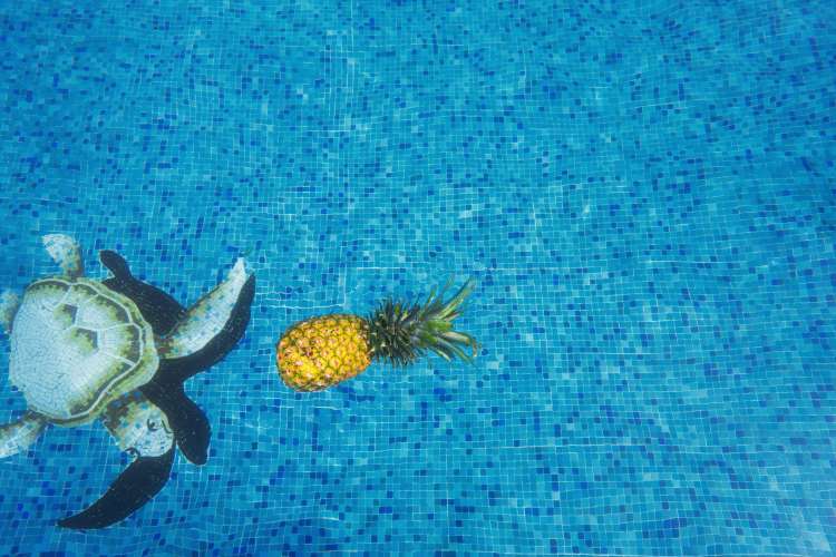 Free Swim lessons at public pools in Houston
